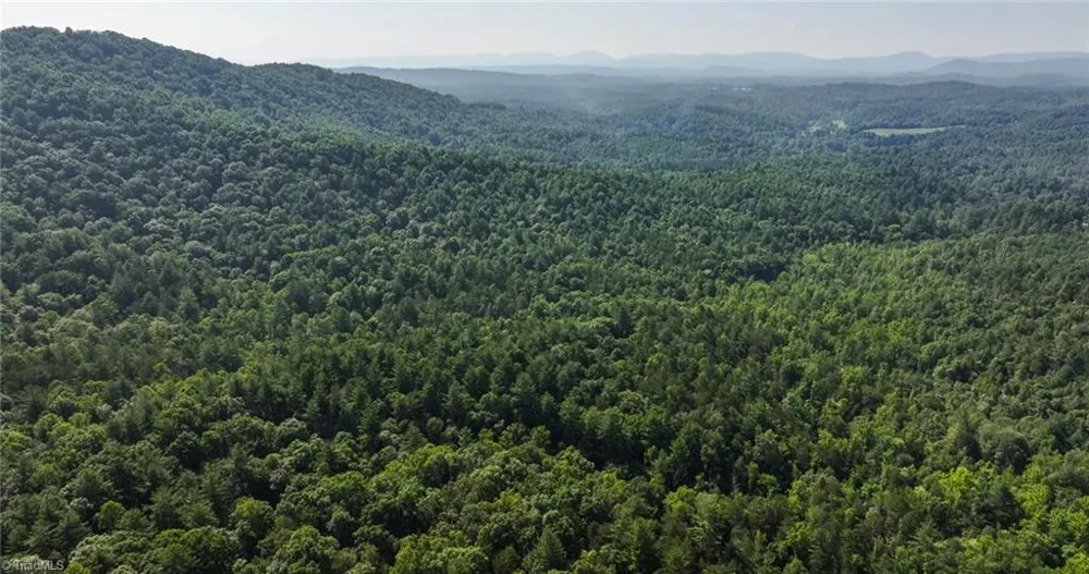0000 Boone Trail Purlear, NC 28665
