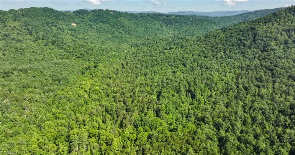 0000 Boone Trail Purlear, NC 28665