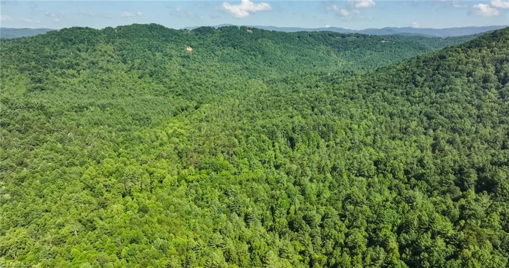 0000 Boone Trail Purlear, NC 28665