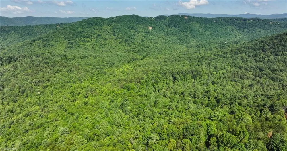 0000 Boone Trail Purlear, NC 28665