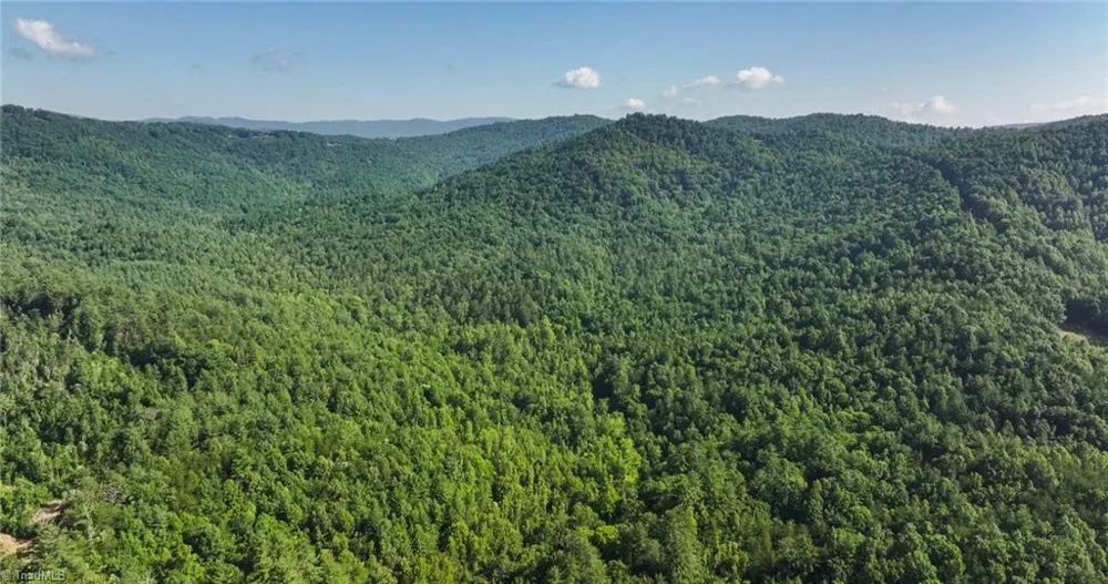 0000 Boone Trail Purlear, NC 28665