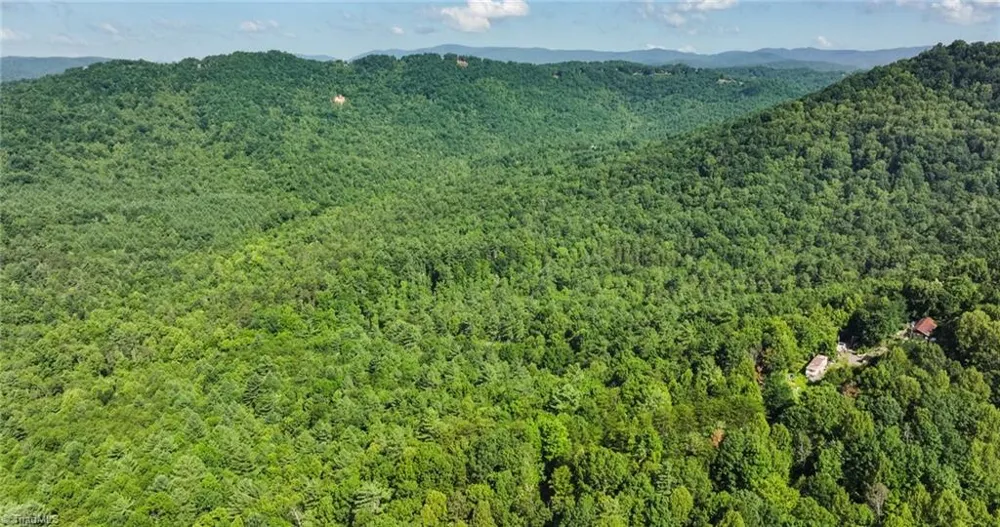 0000 Boone Trail Purlear, NC 28665
