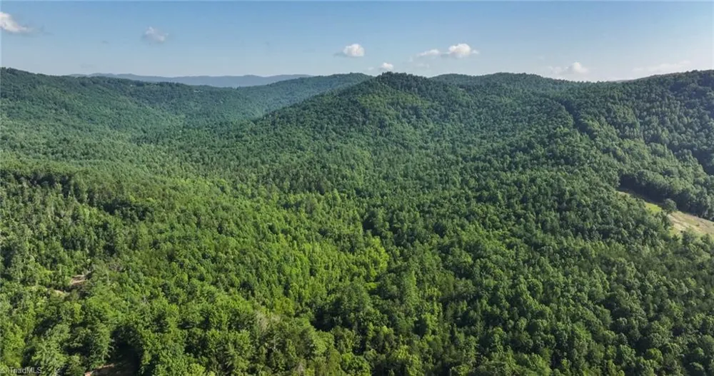 0000 Boone Trail Purlear, NC 28665