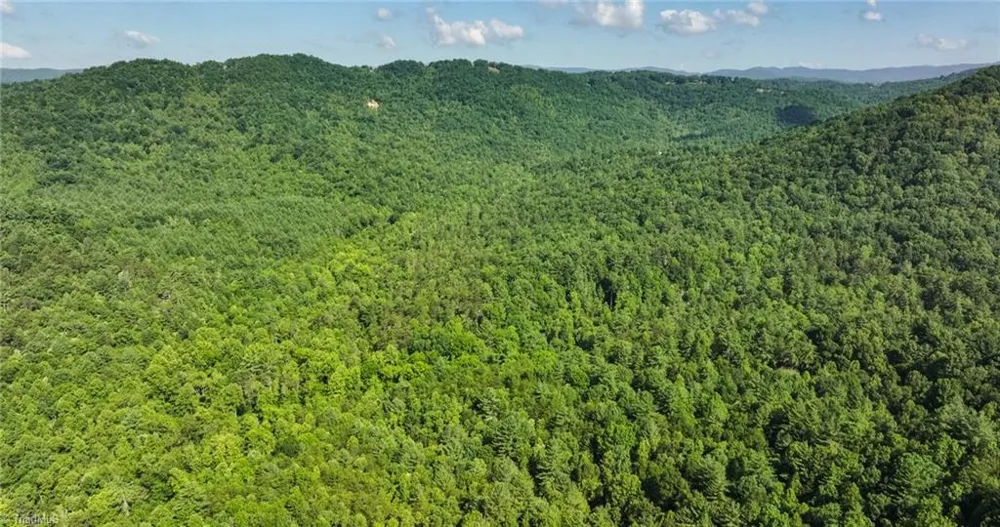 0000 Boone Trail Purlear, NC 28665