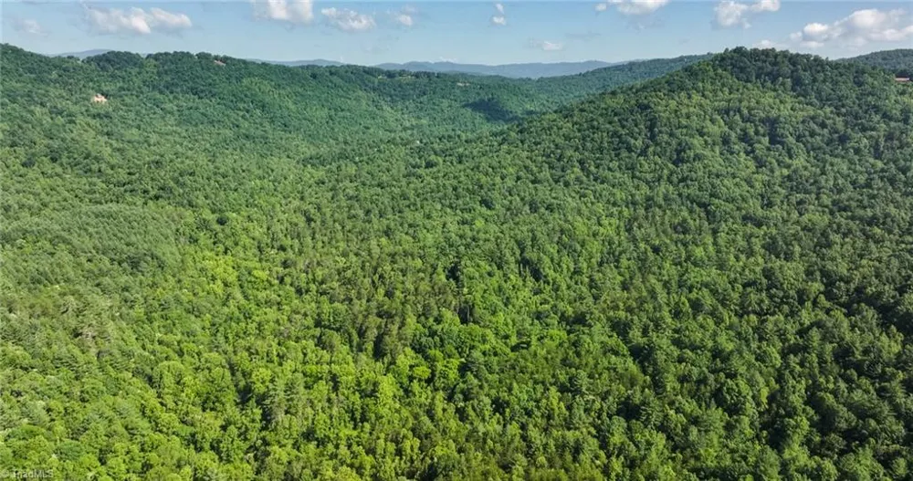 0000 Boone Trail Purlear, NC 28665