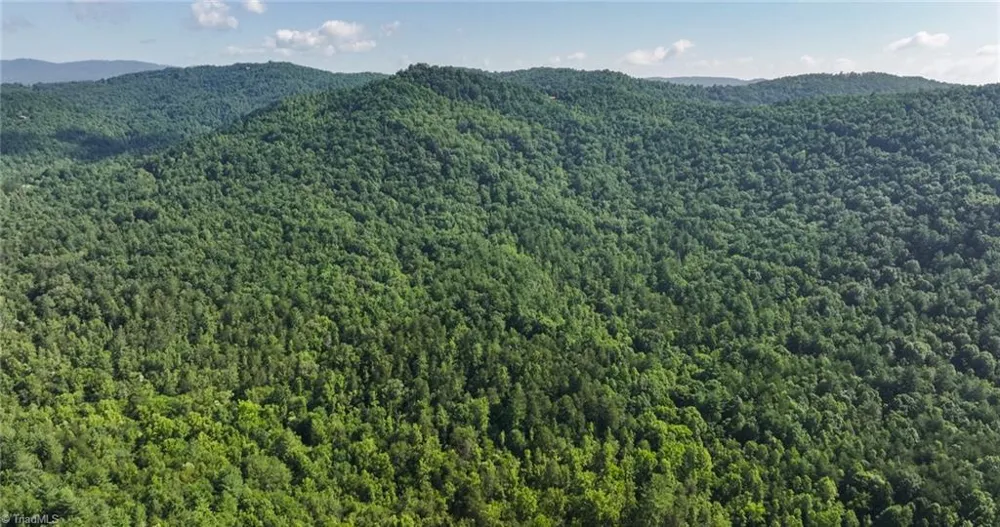 0000 Boone Trail Purlear, NC 28665