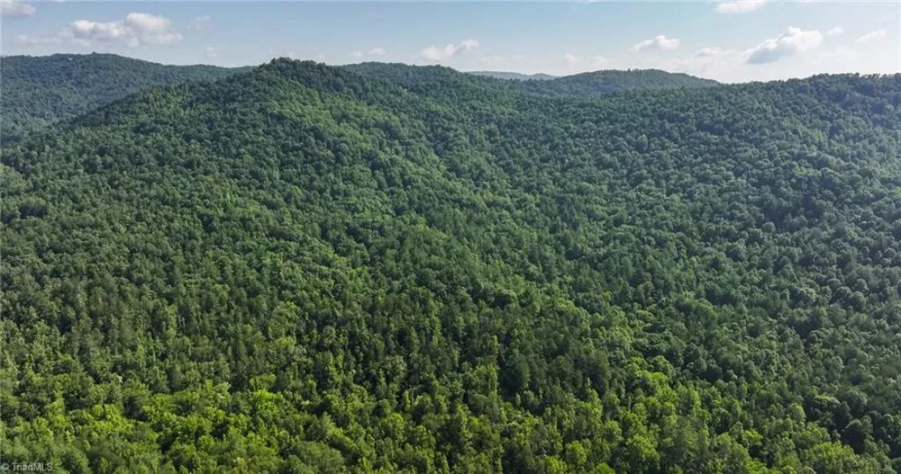 0000 Boone Trail Purlear, NC 28665