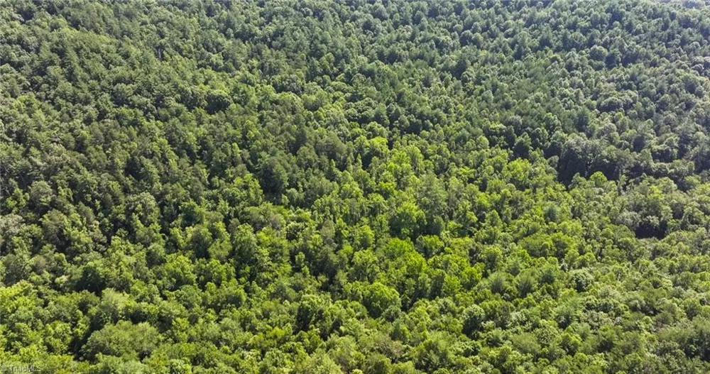 0000 Boone Trail Purlear, NC 28665
