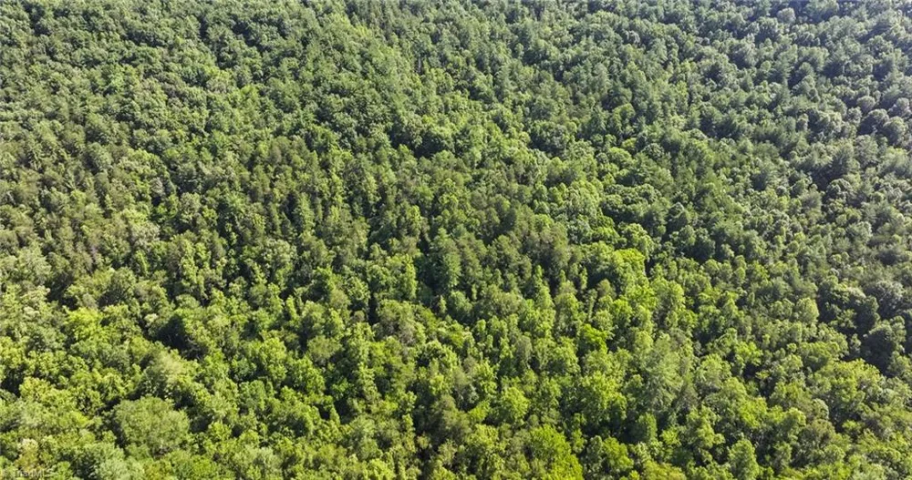 0000 Boone Trail Purlear, NC 28665