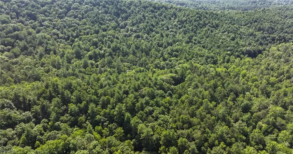 0000 Boone Trail Purlear, NC 28665