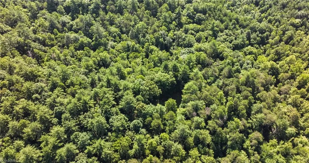 0000 Boone Trail Purlear, NC 28665