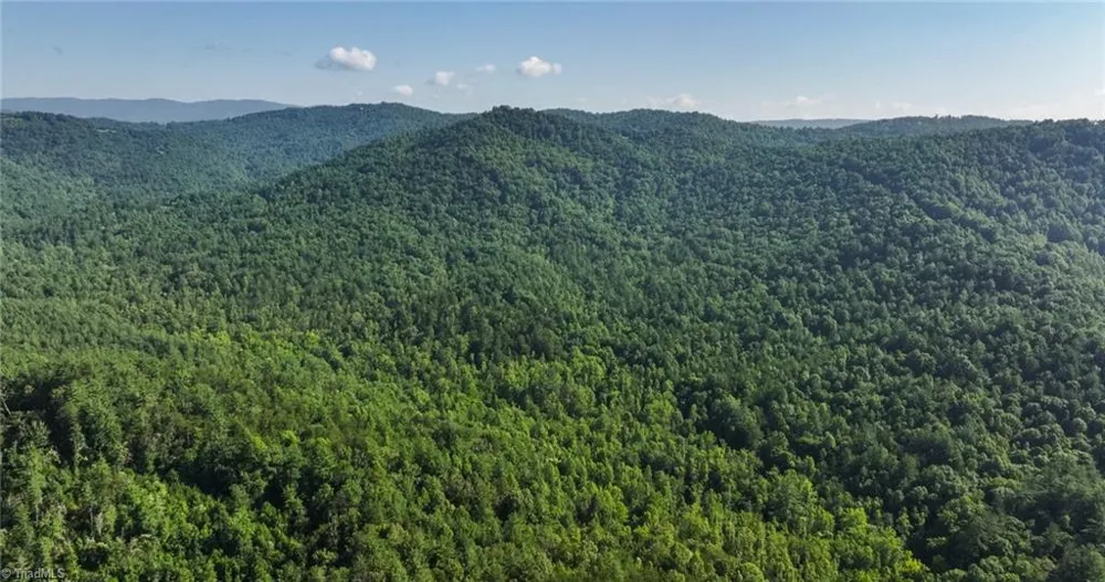 0000 Boone Trail Purlear, NC 28665