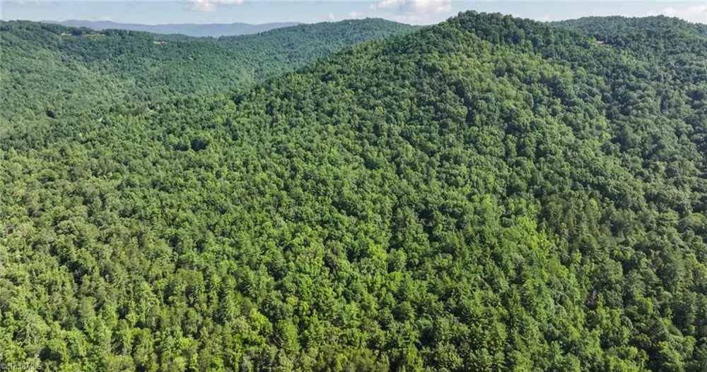 0000 Boone Trail Purlear, NC 28665