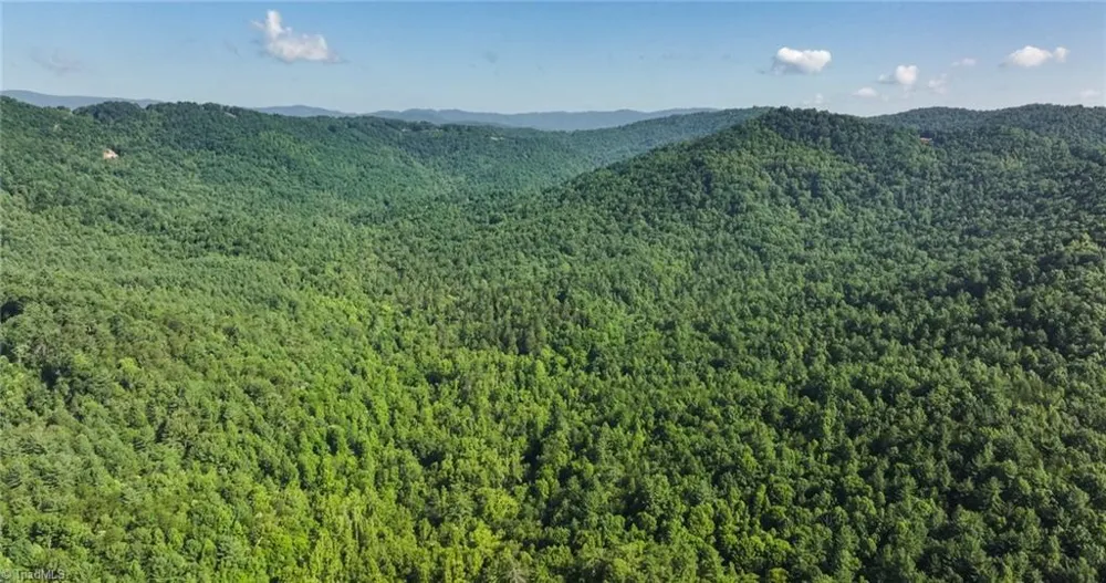 0000 Boone Trail Purlear, NC 28665