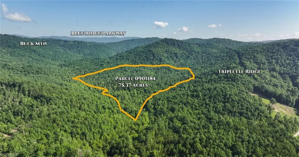 0000 Boone Trail Purlear, NC 28665