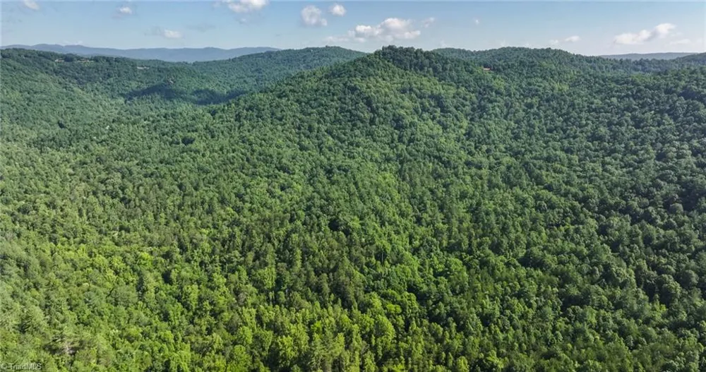 0000 Boone Trail Purlear, NC 28665
