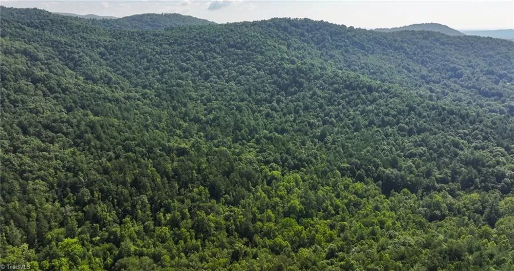 0000 Boone Trail Purlear, NC 28665