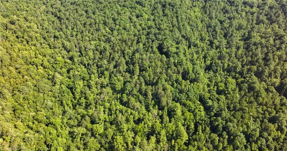 0000 Boone Trail Purlear, NC 28665
