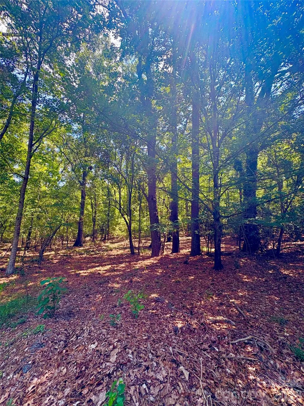 1801 Griffith Road Monroe, NC 28112