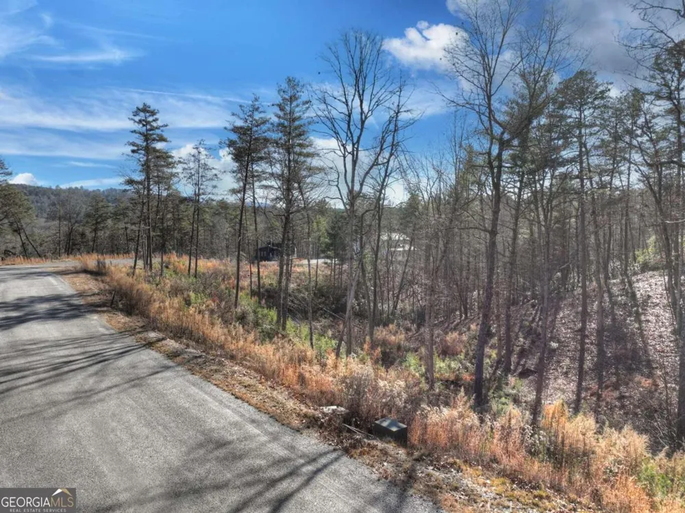 LOT 16 Mountain Laurel RDG Mineral Bluff, GA 30559