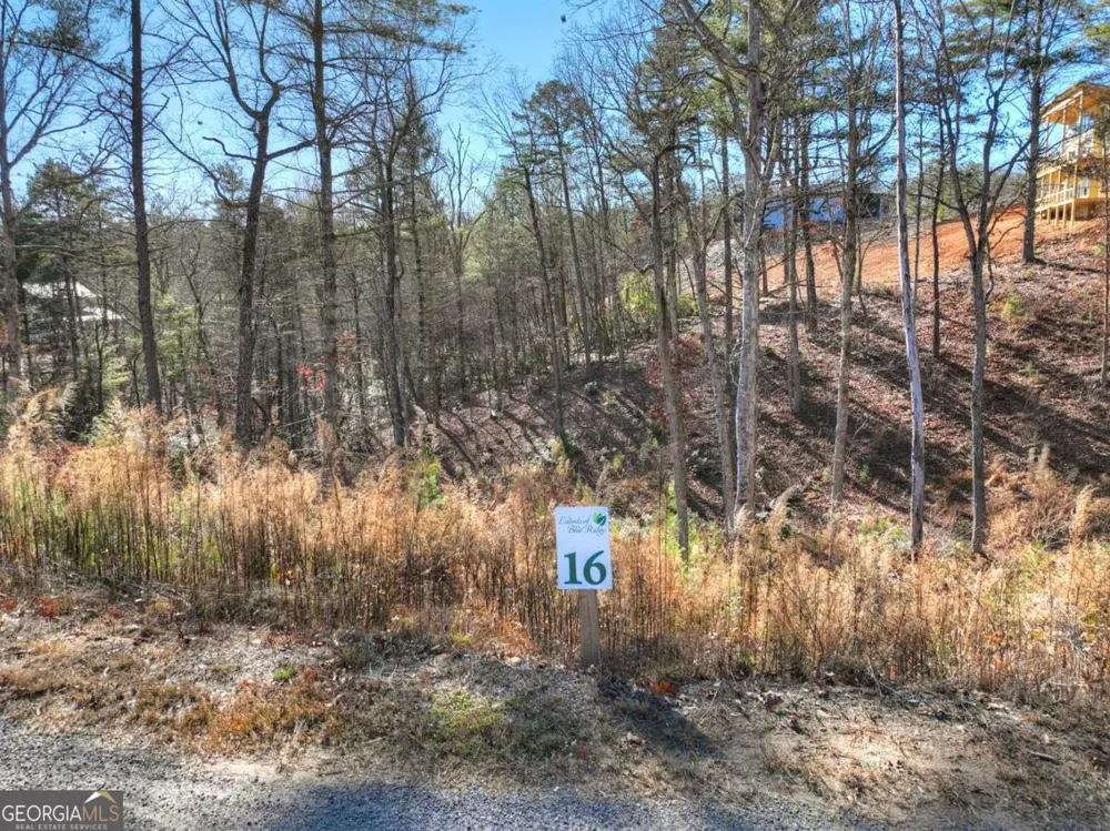 LOT 16 Mountain Laurel RDG Mineral Bluff, GA 30559