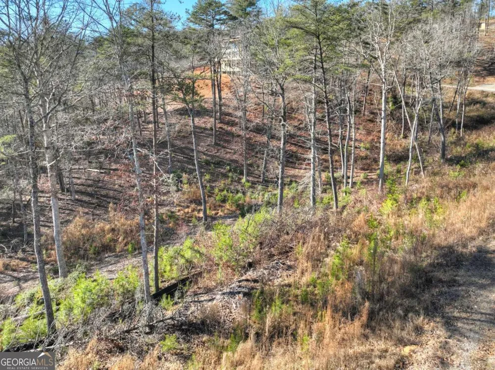 LOT 16 Mountain Laurel RDG Mineral Bluff, GA 30559