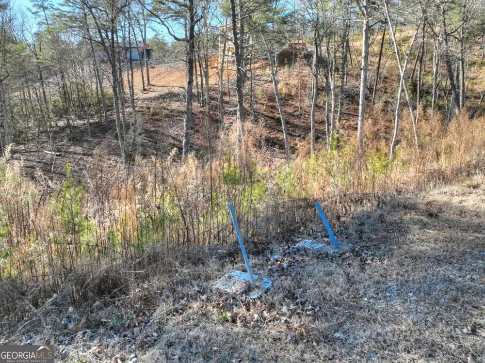 LOT 16 Mountain Laurel RDG Mineral Bluff, GA 30559