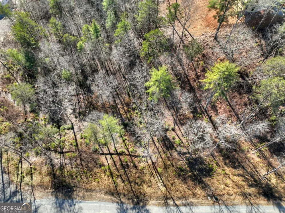 LOT 16 Mountain Laurel RDG Mineral Bluff, GA 30559