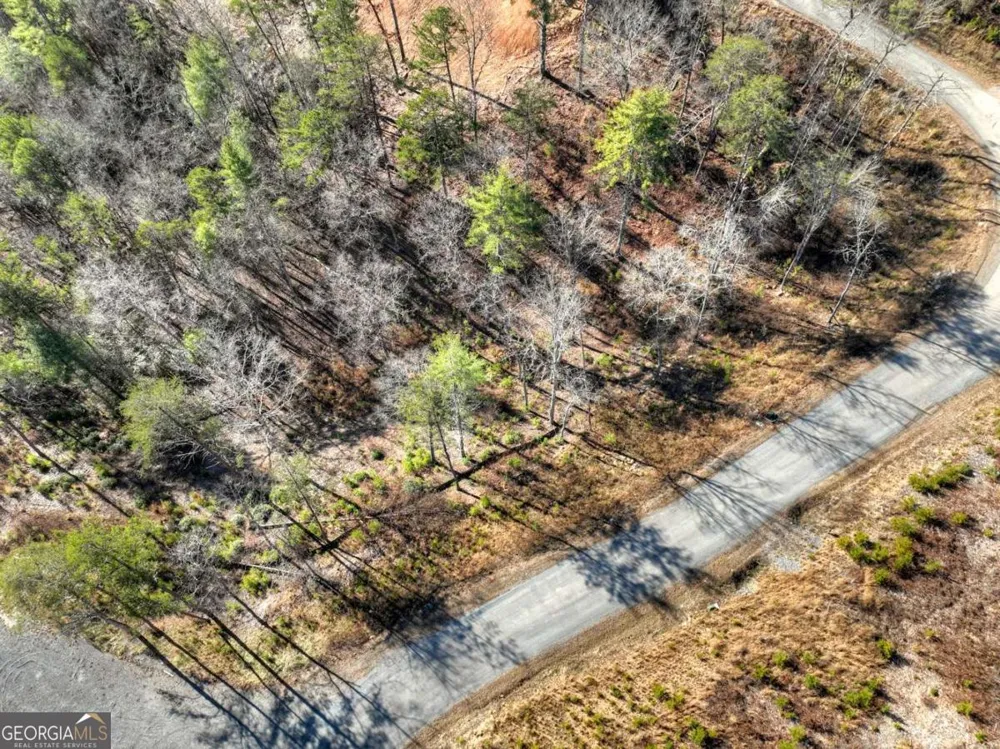 LOT 16 Mountain Laurel RDG Mineral Bluff, GA 30559