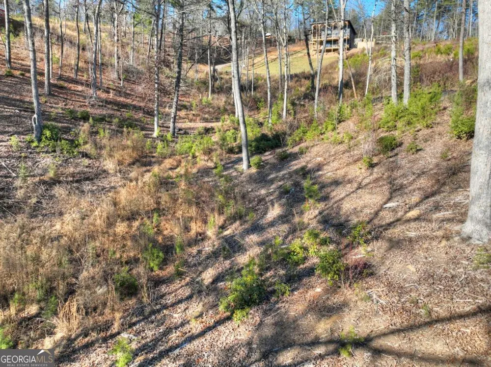 LOT 16 Mountain Laurel RDG Mineral Bluff, GA 30559