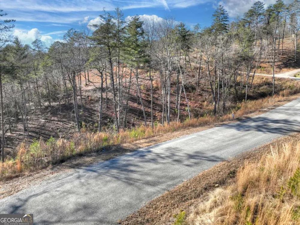 LOT 16 Mountain Laurel RDG Mineral Bluff, GA 30559