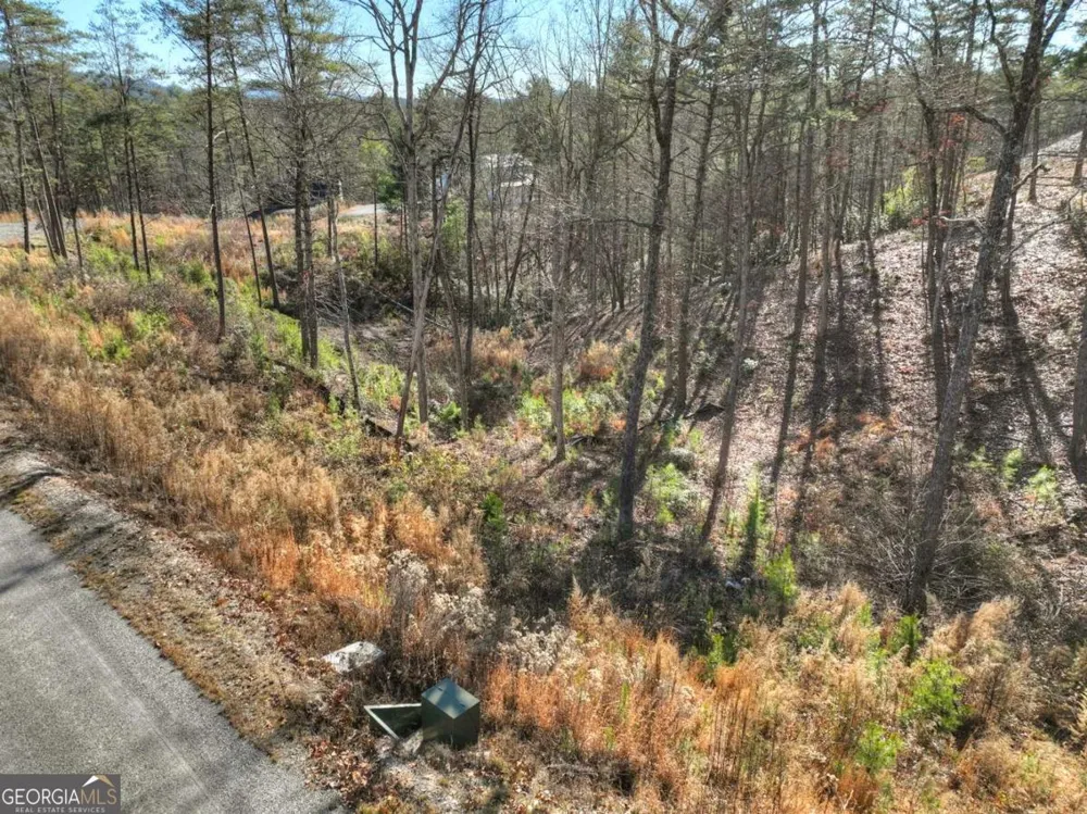 LOT 16 Mountain Laurel RDG Mineral Bluff, GA 30559