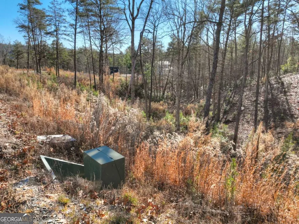 LOT 16 Mountain Laurel RDG Mineral Bluff, GA 30559