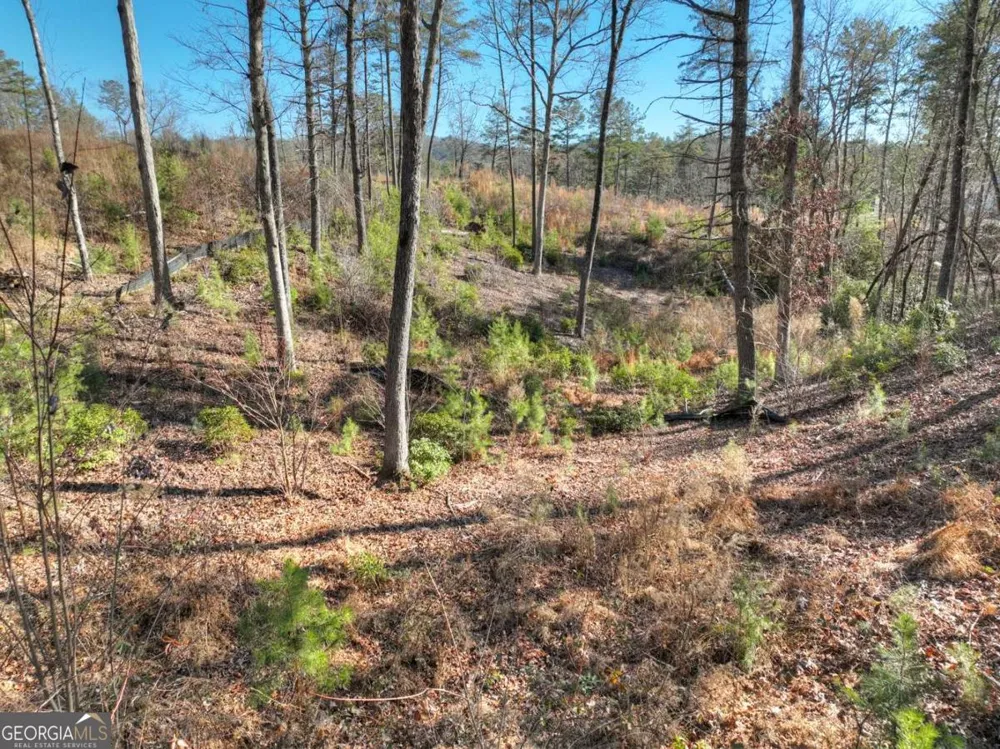 LOT 16 Mountain Laurel RDG Mineral Bluff, GA 30559