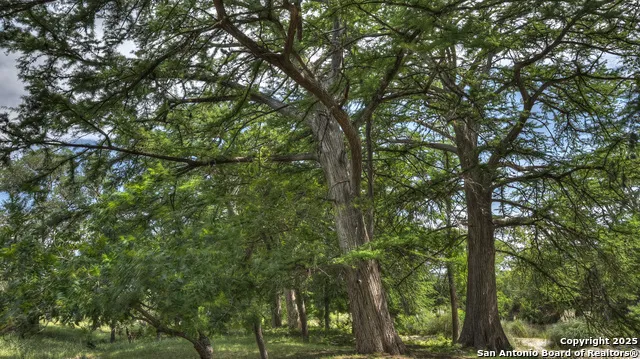 154 Weston Leakey, TX 78873