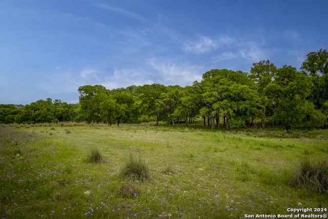 385 Settlers Way Comfort, TX 78013