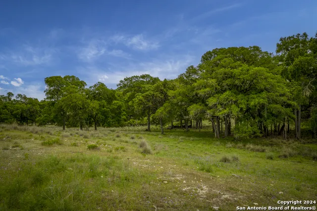 385 Settlers Way Comfort, TX 78013