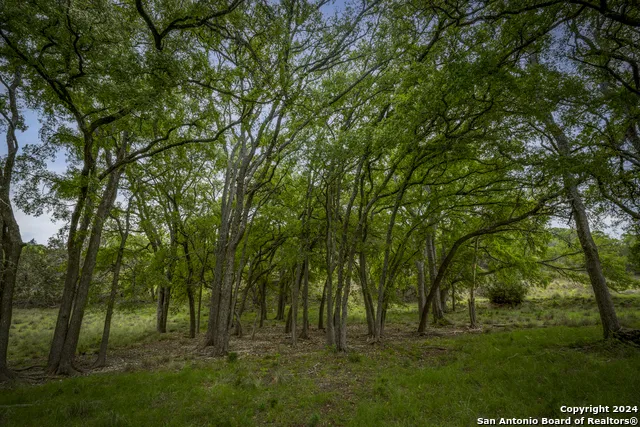 385 Settlers Way Comfort, TX 78013