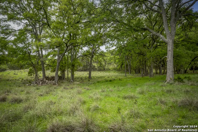 385 Settlers Way Comfort, TX 78013