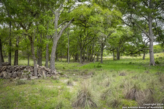 385 Settlers Way Comfort, TX 78013