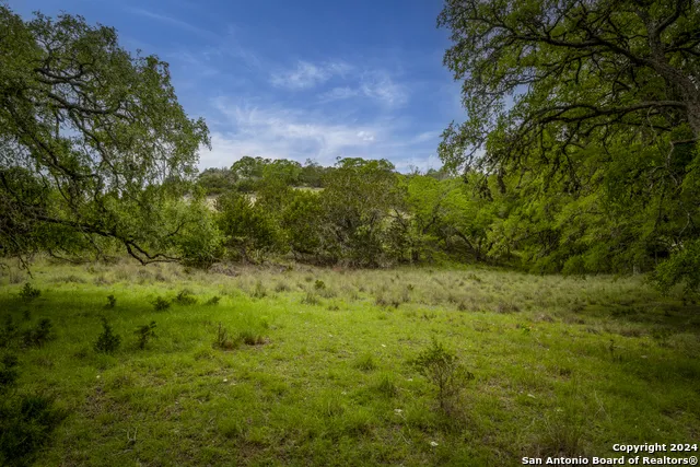 385 Settlers Way Comfort, TX 78013