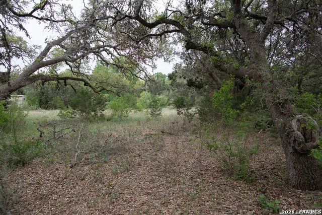 1590 Sandy Hill Bulverde, TX 78163