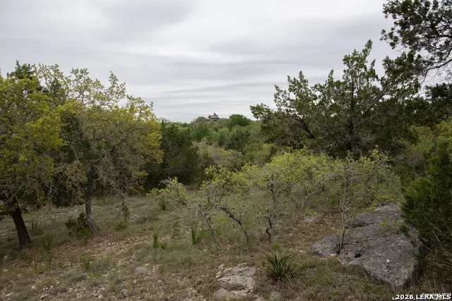 1590 Sandy Hill Bulverde, TX 78163