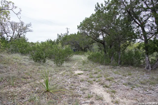 1590 Sandy Hill Bulverde, TX 78163