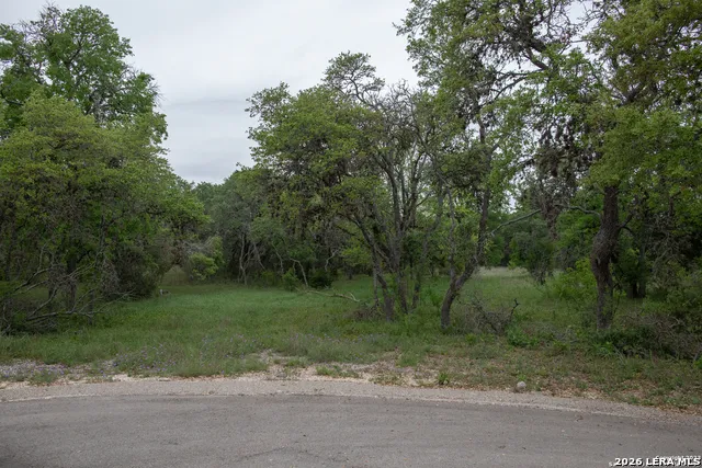 1590 Sandy Hill Bulverde, TX 78163