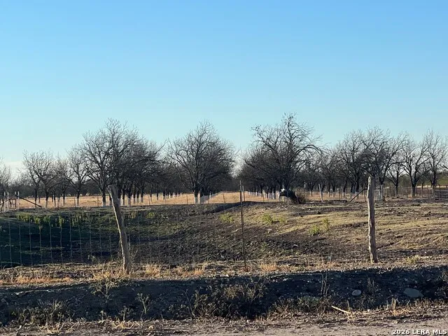0000 Silver Bridge Rd Quemado, TX 78877