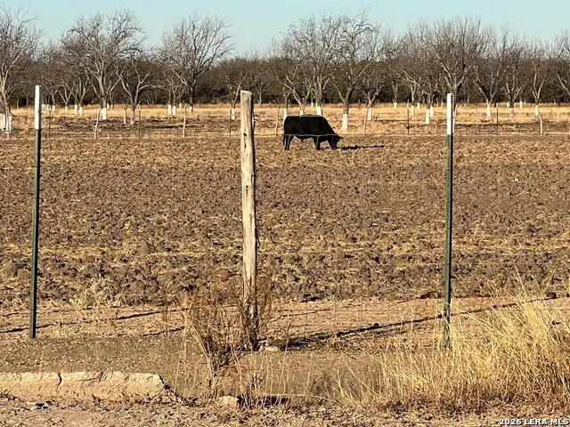LOT A FM 1908 Quemado, TX 78877