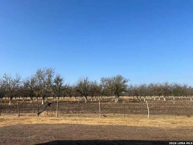 0000 FM 1908 Quemado, TX 78877