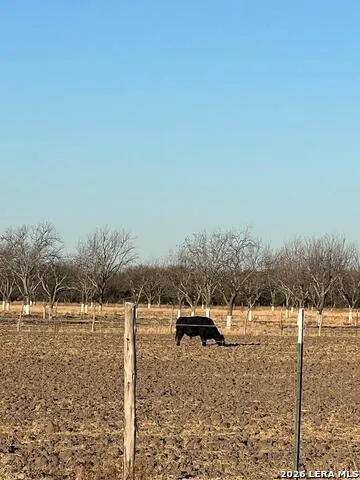 LOT B FM 1908 Quemado, TX 78877