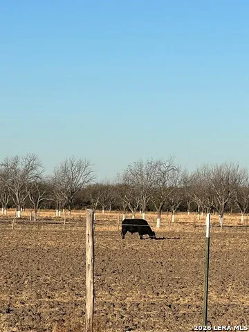 LOT D FM 1908 Quemado, TX 78877